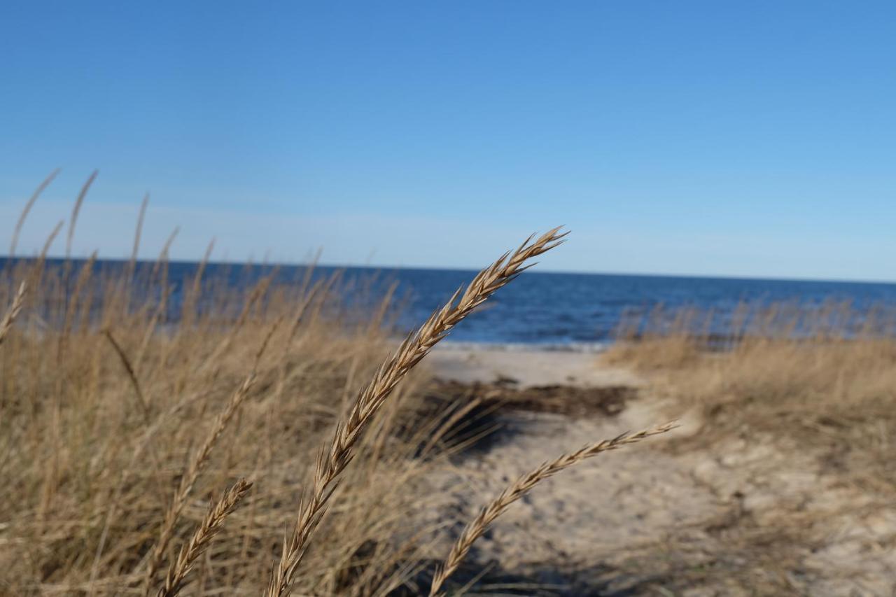 Tahkuna Puhkekeskus Hiiumaa Exteriör bild